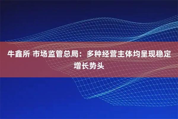 牛鑫所 市场监管总局：多种经营主体均呈现稳定增长势头