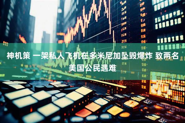 神机策 一架私人飞机在多米尼加坠毁爆炸 致两名美国公民遇难